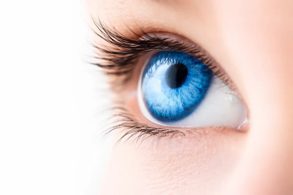 Prevent and Treat Cataracts