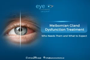 Meibomian Gland Dysfunction Treatment – Why Dry Eye Starts in the Eyelids